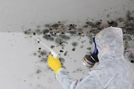 Forensic Mold Investigation in Moberly, MO